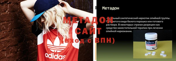 гидра Богданович