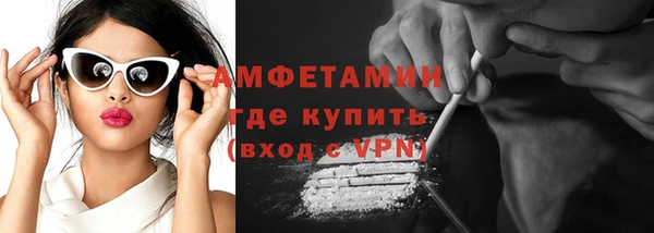 гидра Богданович