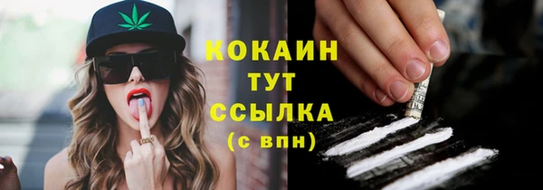 стаф Бородино