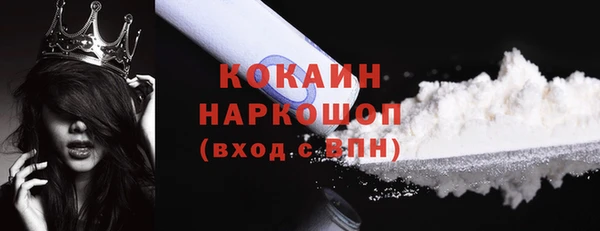 гидра Богданович