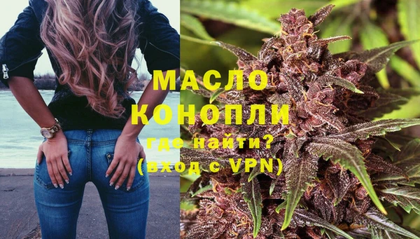 гидра Богданович