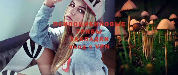spice Белокуриха