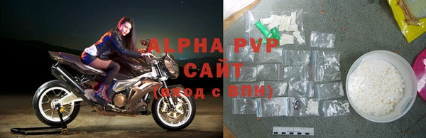 гидра Богданович