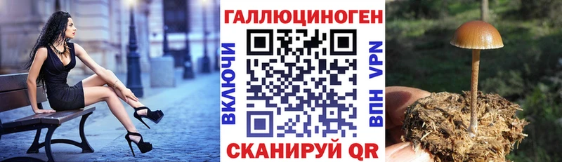 Псилоцибиновые грибы ЛСД Володарск