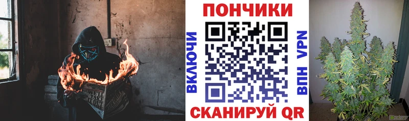 Бошки марихуана VHQ  купить наркотики сайты  Володарск 